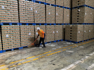 tạp vụ doanh nghiệp