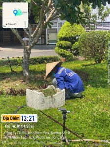 Dịch vụ chăm sóc cây xanh